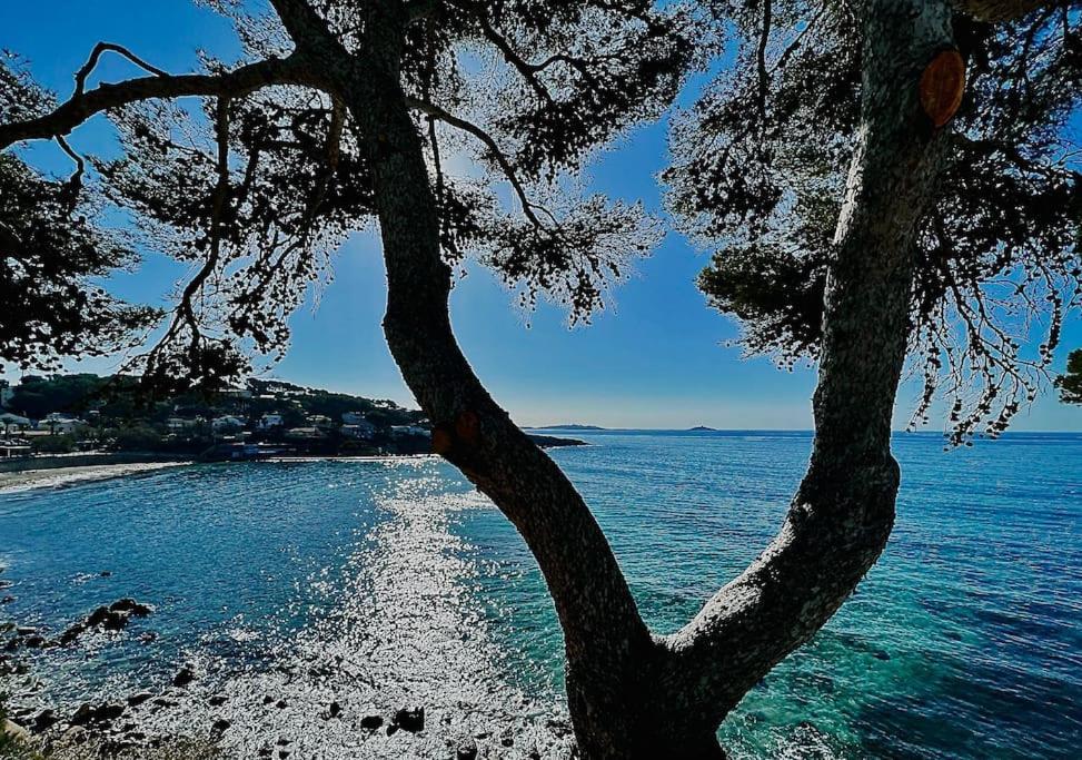 Apartament Escapade Au Coeur De Sanary Zewnętrze zdjęcie